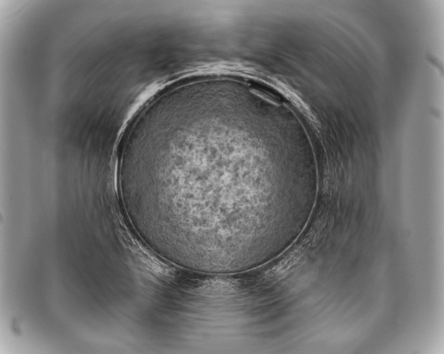 X0000096441224200802071741