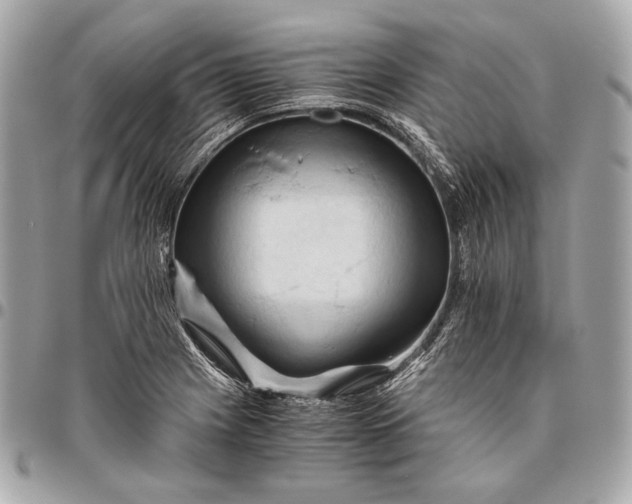 X0000096441225200802071741