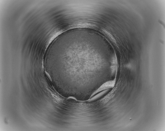 X0000096441226200802071741