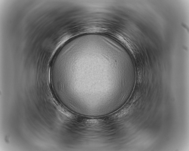 X0000096441227200802071741