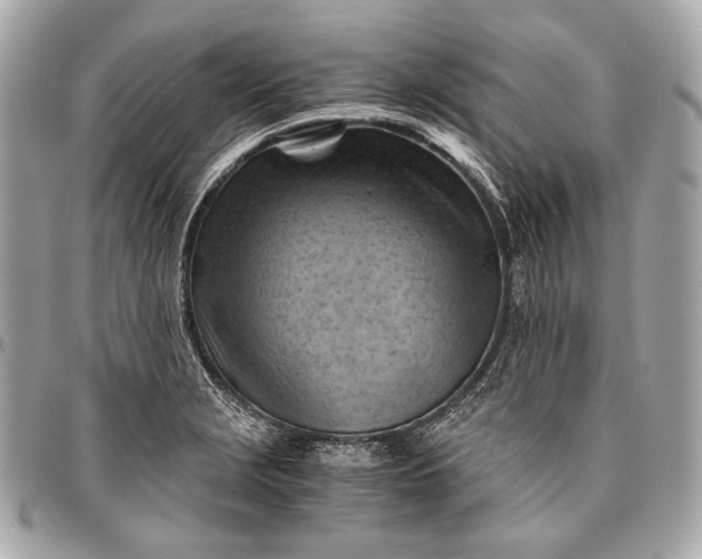 X0000096441229200802071741