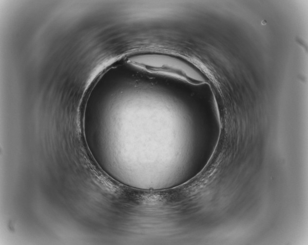 X0000096441230200802071741