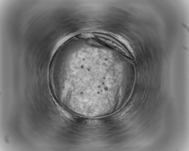 X0000096441231200802071741