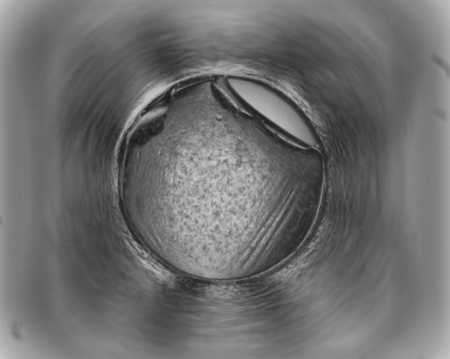 X0000096441232200802071741