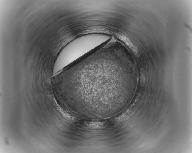 X0000096441233200802071741