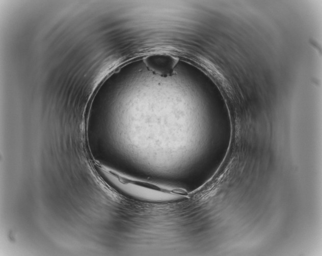 X0000096441234200802071741