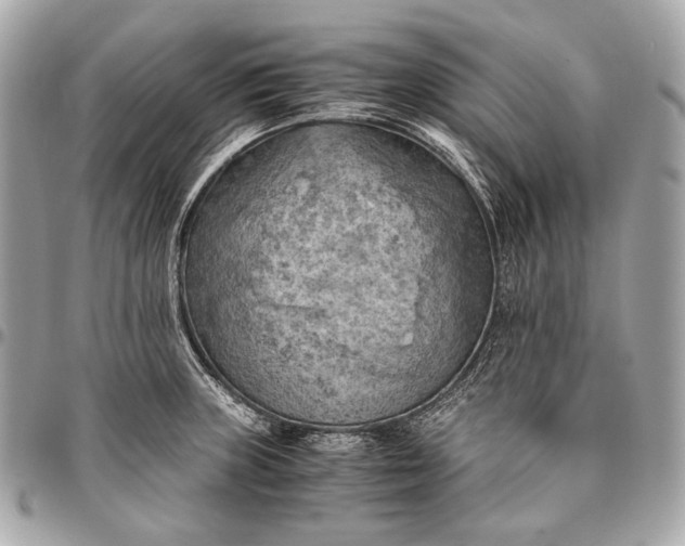 X0000096441235200802071741