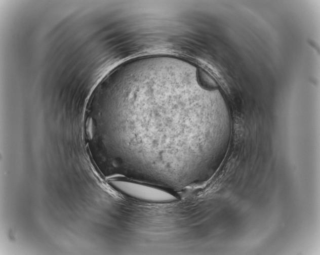 X0000096441236200802071741