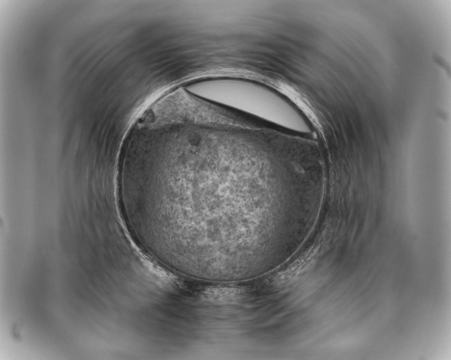 X0000096441237200802071741