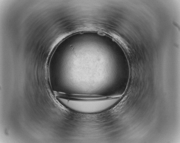 X0000096441238200802071741