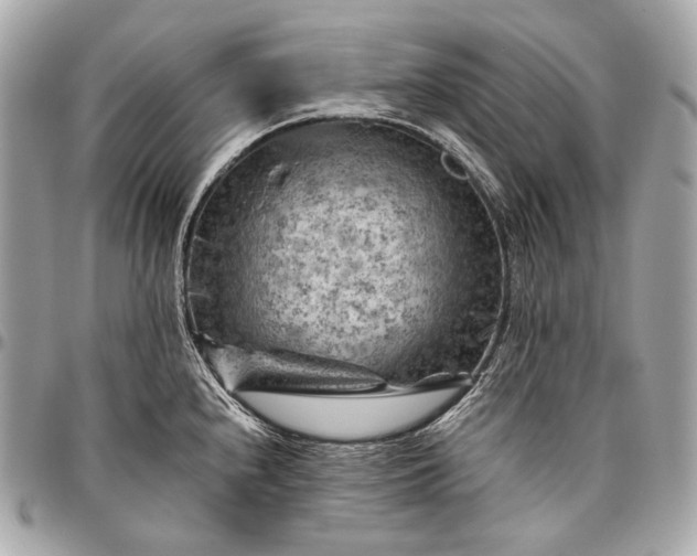 X0000096441240200802071741