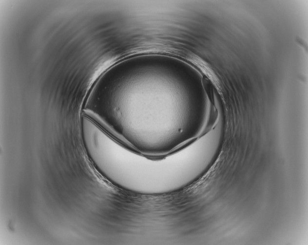 X0000096441242200802071741