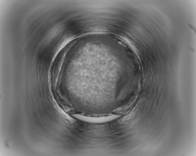 X0000096441243200802071741