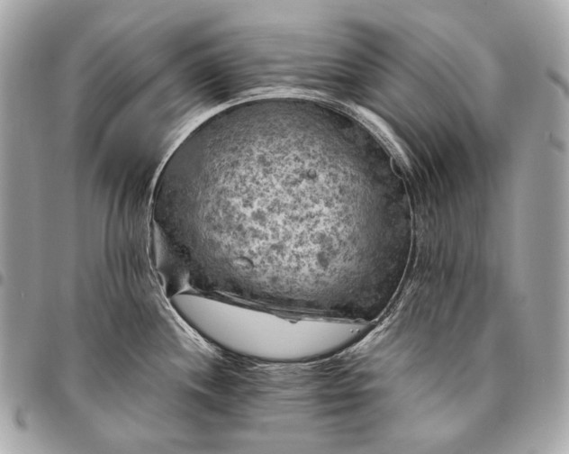 X0000096441244200802071741