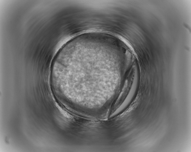 X0000096441245200802071741