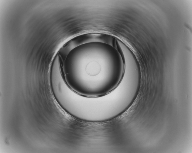 X0000096441246200802071741