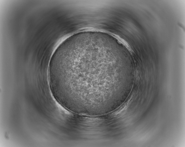 X0000096441247200802071741