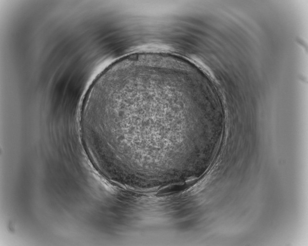 X0000096441248200802071741