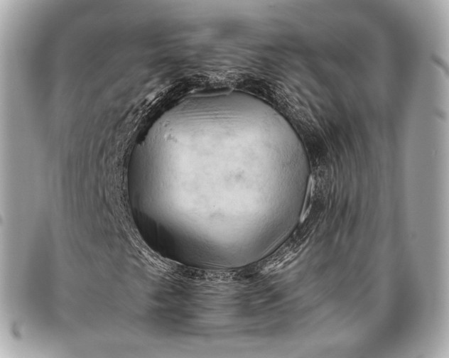 X0000096441249200802071740