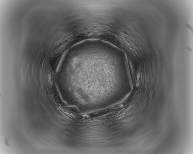 X0000096441250200802071740