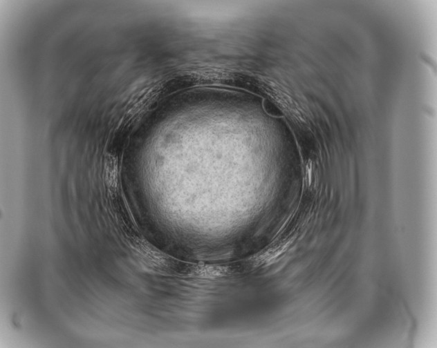 X0000096441251200802071740