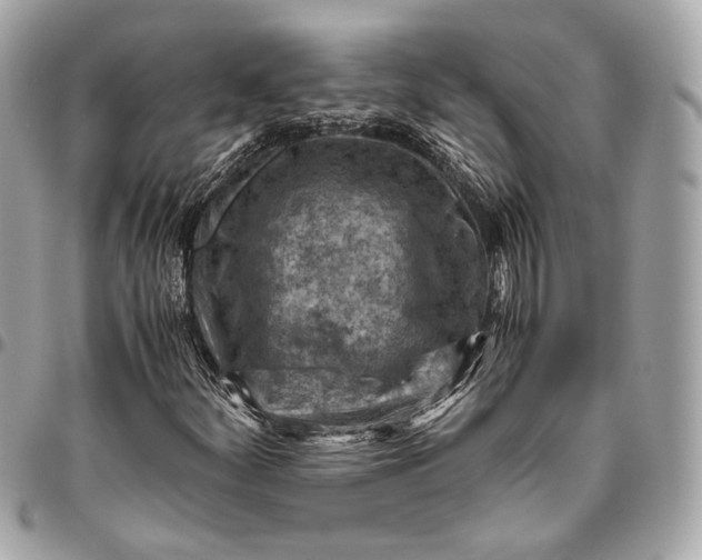 X0000096441252200802071740