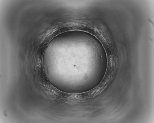 X0000096441253200802071740