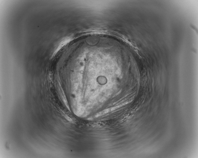 X0000096441255200802071740