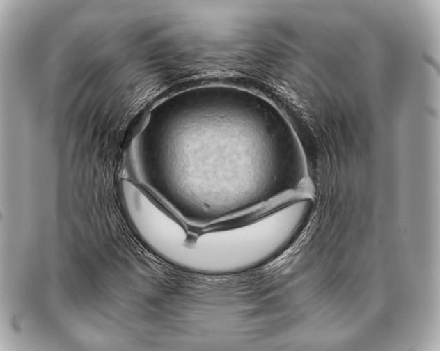 X0000096441257200802071740