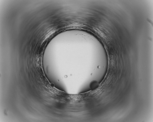 X0000096441258200802071740