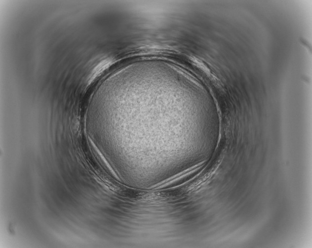 X0000096441259200802071740