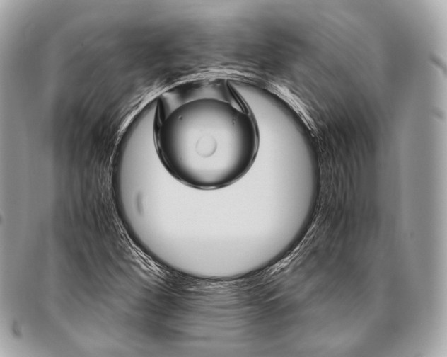 X0000096441260200802071740