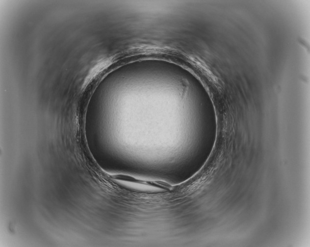 X0000096441261200802071740