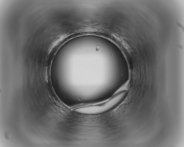 X0000096441262200802071740