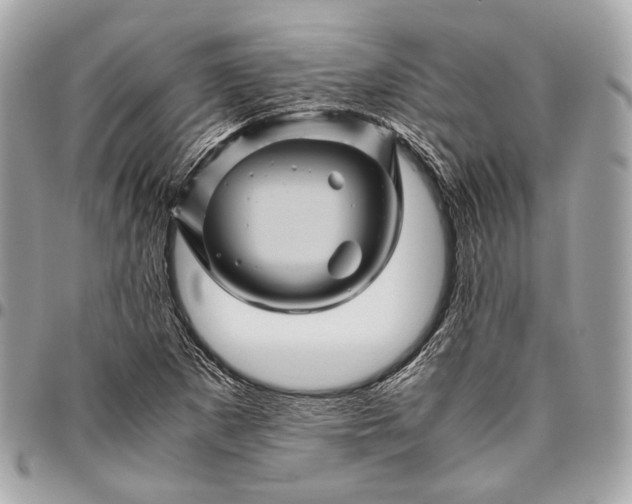 X0000096441265200802071740