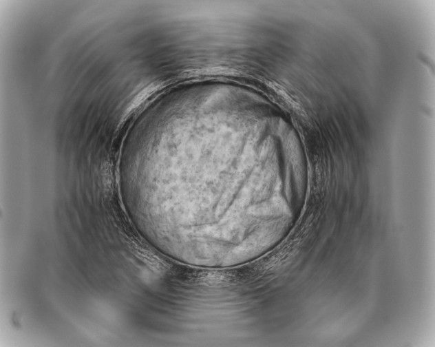 X0000096441266200802071740