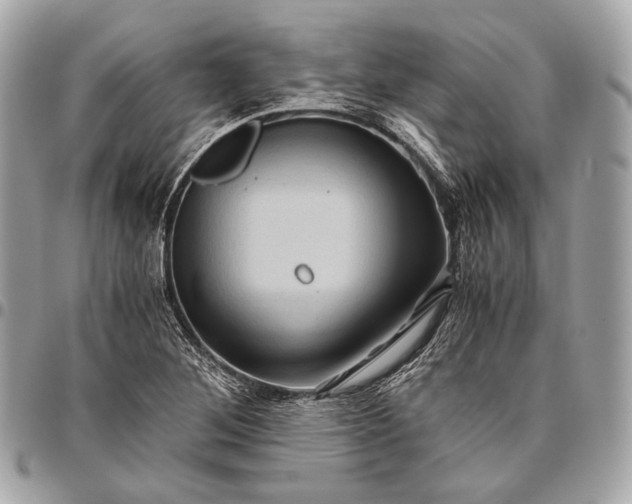 X0000096441268200802071740