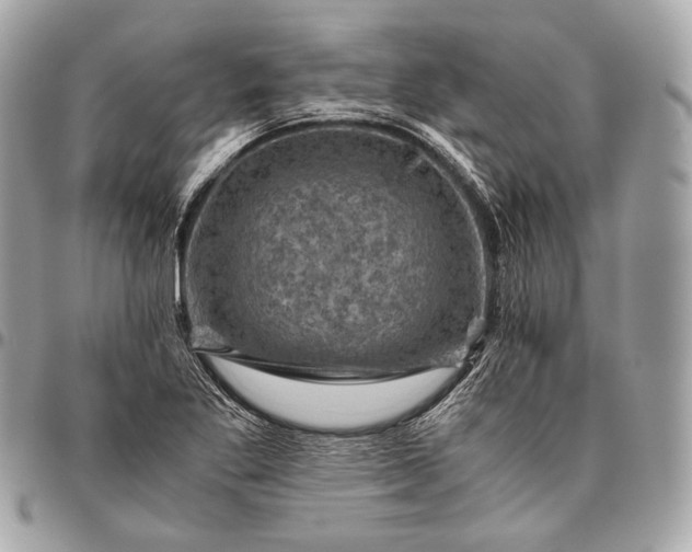 X0000096441269200802071740