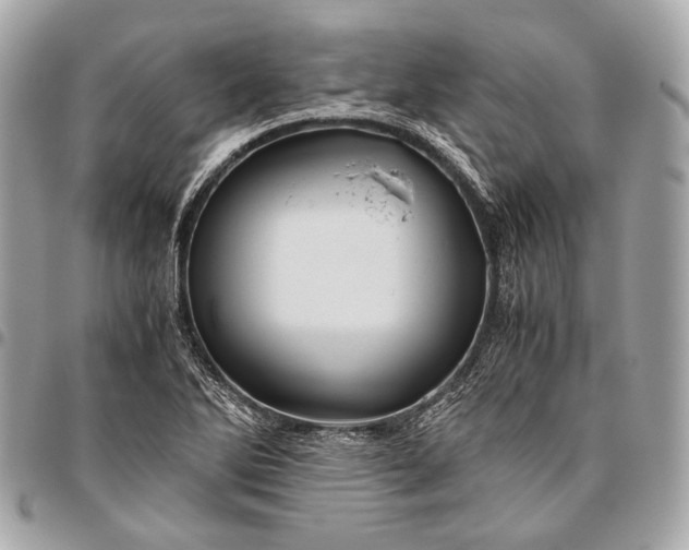 X0000096441270200802071740