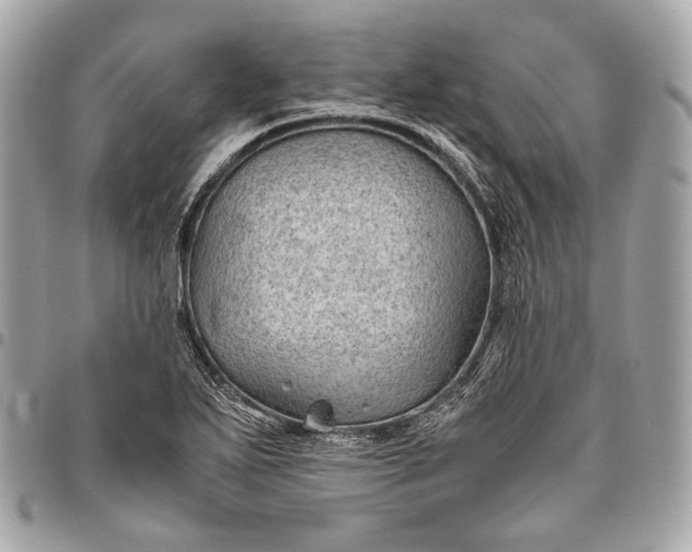 X0000096441271200802071740