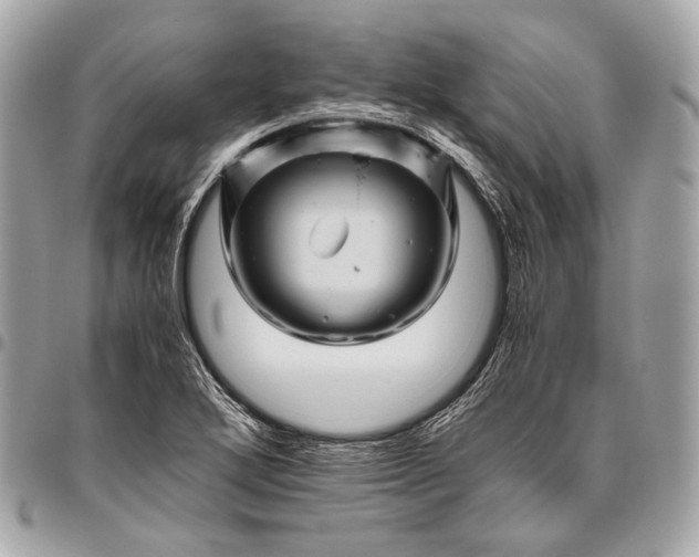 X0000096441272200802071740