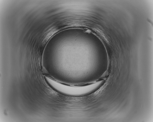 X0000096441273200802071740