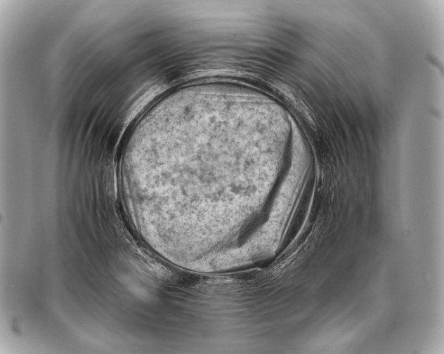 X0000096441274200802071740