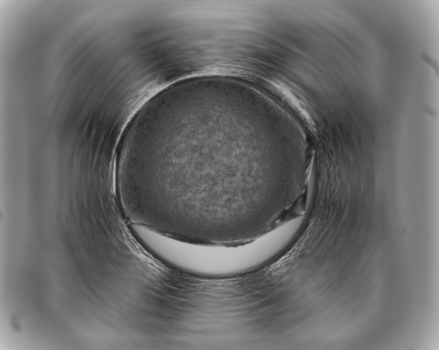 X0000096441276200802071740