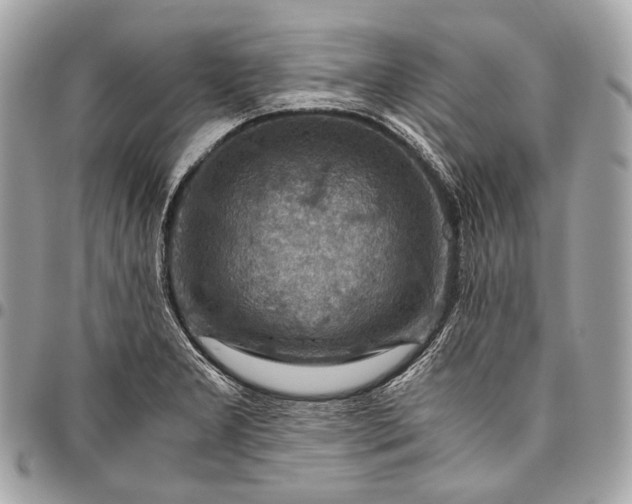 X0000096441277200802071740