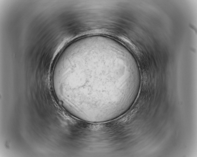 X0000096441278200802071740