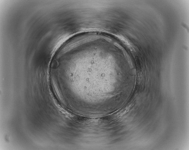 X0000096441279200802071740