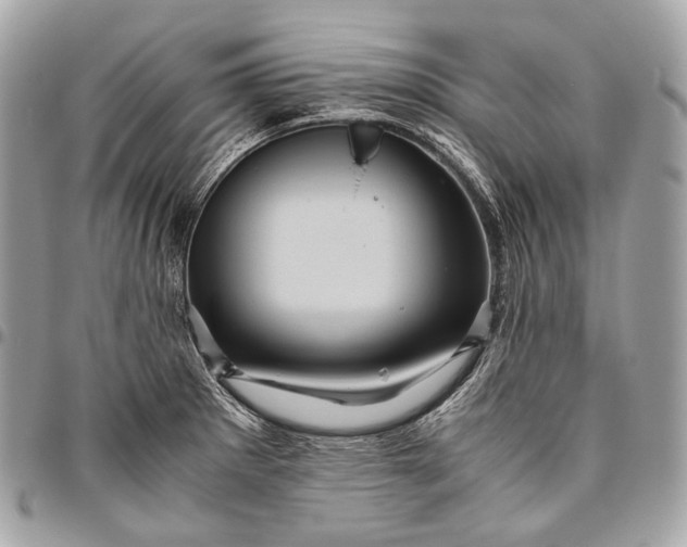 X0000096441281200802071740