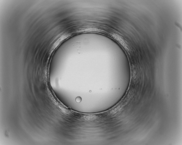 X0000096441282200802071740