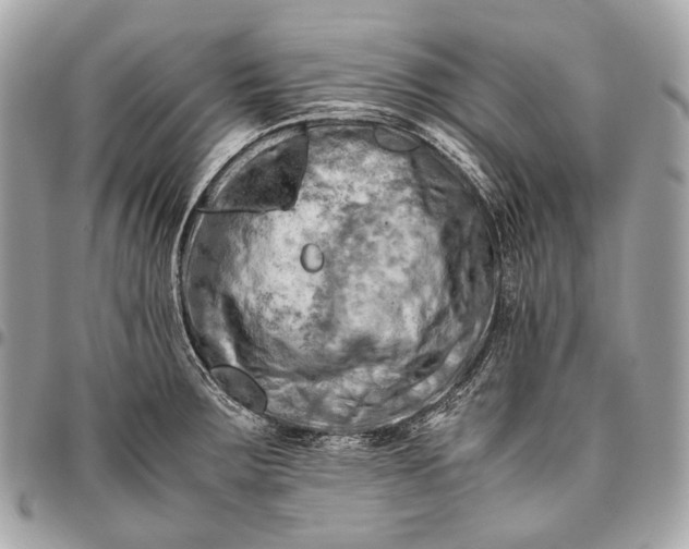 X0000096441283200802071740